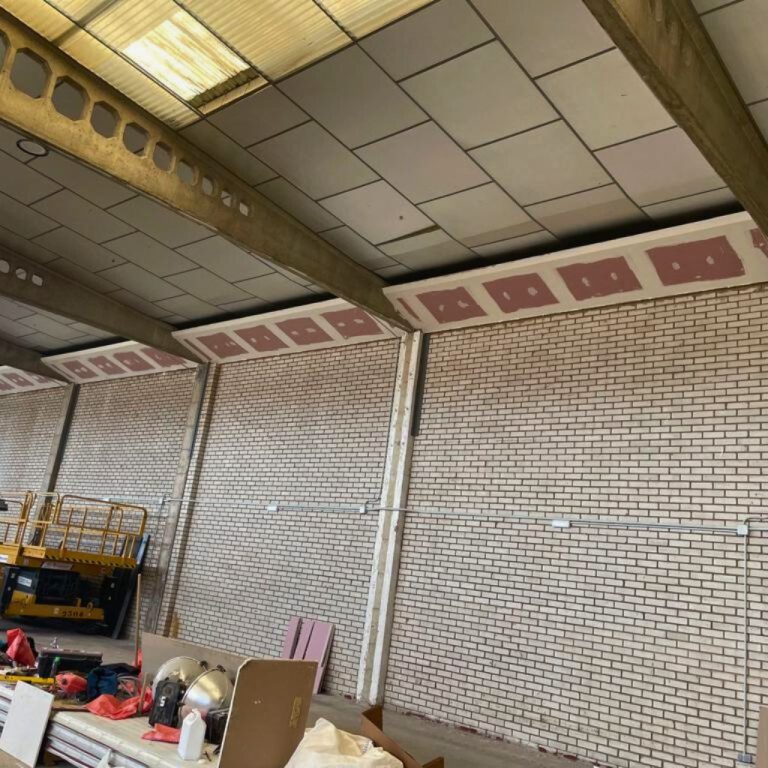 Franja cortafuegos (2)